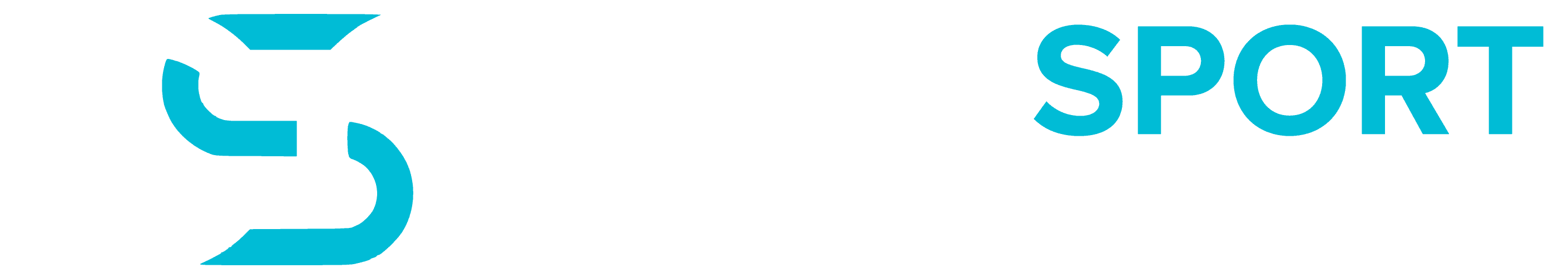 DataSport Gaming